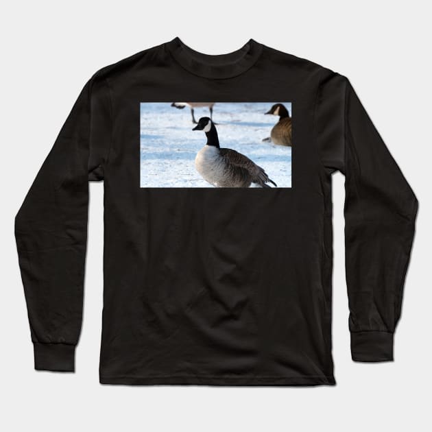 Canada Goose Standing On The Snow Long Sleeve T-Shirt by BackyardBirder